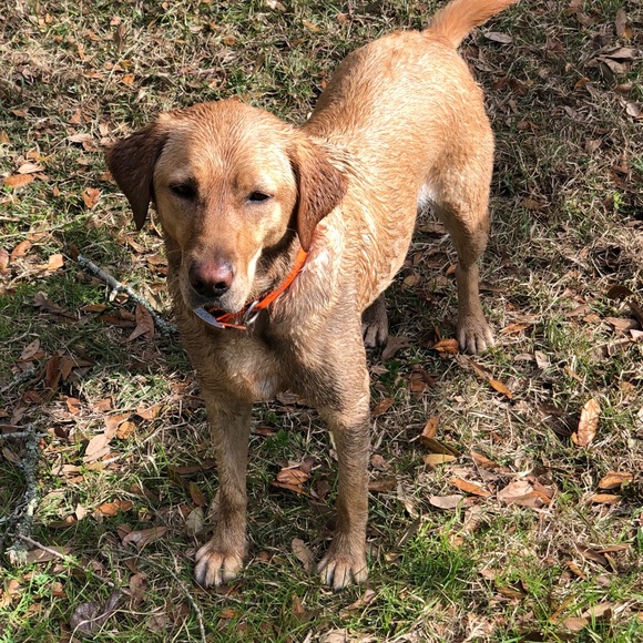 Meet your Posher, Natnatalie - Picture 2 of 2